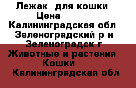 Лежак  для кошки › Цена ­ 1 000 - Калининградская обл., Зеленоградский р-н, Зеленоградск г. Животные и растения » Кошки   . Калининградская обл.